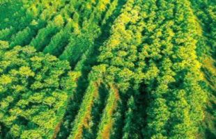 新手露营第一课：如何与自然“礼貌相处”？