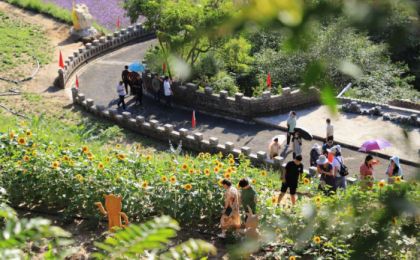 不断探路将好山好水转化成文旅优势