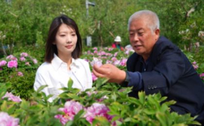 北京平谷：将传统林业资源转化为中医药产业动能