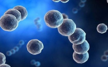 我国科研团队成功合成一次性降解5种有机污染物的新型工程菌株