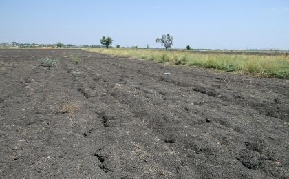 盗挖黑土、泥炭土……最高法发布破坏黑土地资源典型案例
