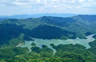 瑞昌以竹编文化赋能废弃矿山生态修复