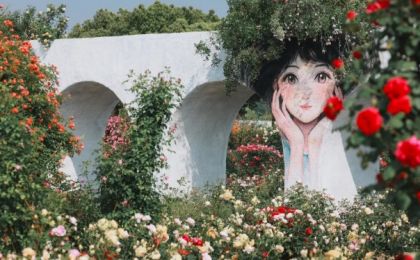 “花卉+”激活发展新引擎 解锁无锡这里“花粉经济”生态圈密码