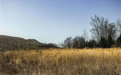 个人股东：国内疯狂盗采 国外大肆买豪宅 山西一煤矿国有股东代缴6亿生态修复金调查
