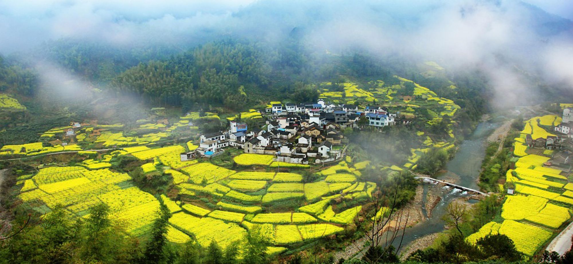 高擎督察利剑 护卫绿水青山——中央生态环境保护督察十年成效回眸