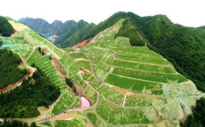 乡土植物，生态修复的好帮手