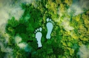 杭州率先实现安防领域碳足迹核算技术国际输出