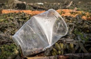 塑胶废物潜藏微生物群落或引发生态危机
