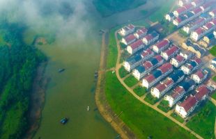 30余万亩林海变身记