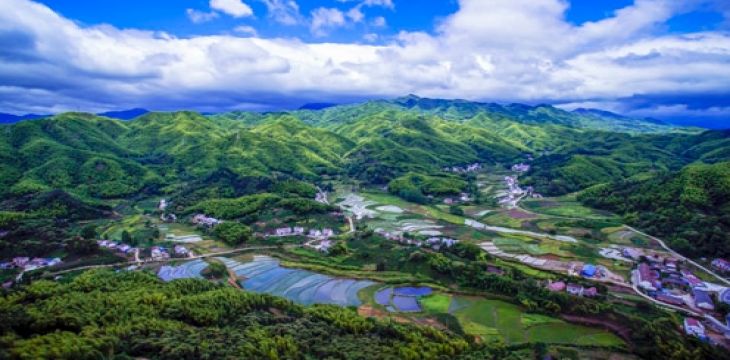 纵深推进田长制、林长制走深走实