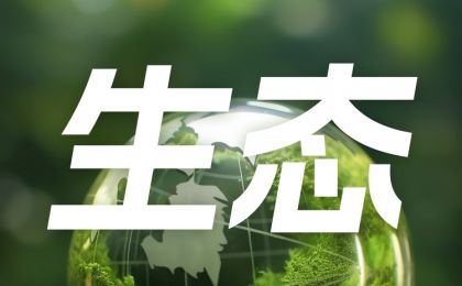 “绿水青山就是金山银山”理念：人类发展观“术语的革命”