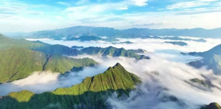 全省唯一！杭州获国家林草局林长制激励表扬