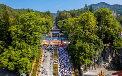 冲刺万亿元！广东林业产业开启发展加速度