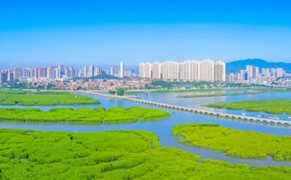 首次引入“生态技术调查官”