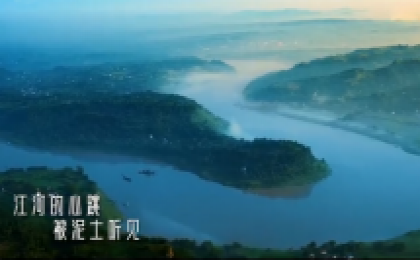 保护生物多样性公益广告《万物共生篇》