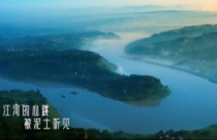 保护生物多样性公益广告《万物共生篇》