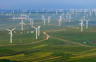 外媒观察：“草原云谷”绿电驱动算力是科技与自然共生的典范