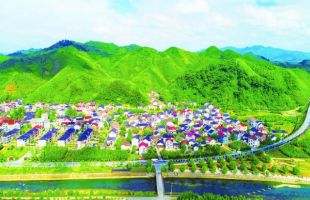 浙江杭州：美丽乡村 产业兴旺