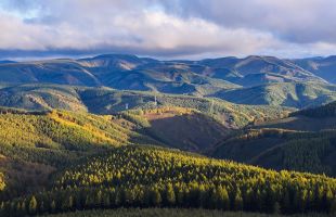 ​首批中国生态旅游十大示范景区之塞罕坝