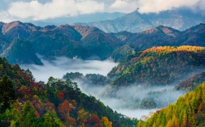 首批中国生态旅游十大示范景区之神农架