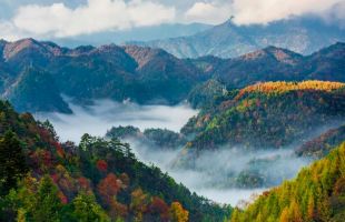 首批中国生态旅游十大示范景区之神农架