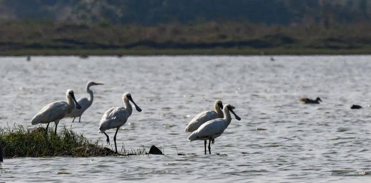 2025年国际生物多样性日主题为“万物共生 和美永续”