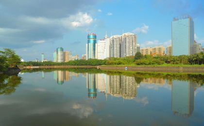 海口出台蓝碳经济发展十年行动方案 明确20项具体任务