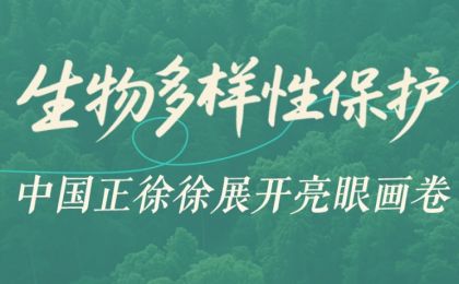 生物多样性保护，中国正徐徐展开亮眼画卷