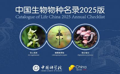 《中国生物物种名录2025版》发布 首次收录中国蜻蜓和蚯蚓