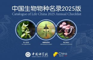 《中国生物物种名录2025版》发布 首次收录中国蜻蜓和蚯蚓
