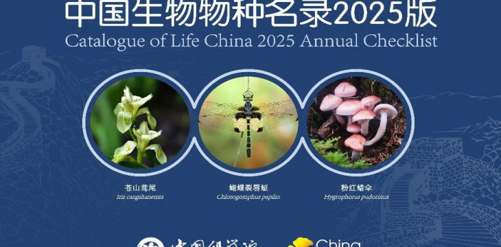 《中国生物物种名录2025版》发布 首次收录中国蜻蜓和蚯蚓