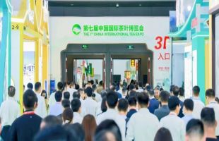 第七届中国国际茶博会：达成现场及意向交易额超60亿