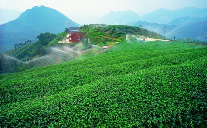 福建漳州破解“碳汇三难” 打通生态产品价值实现路径