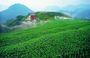 福建漳州破解“碳汇三难” 打通生态产品价值实现路径