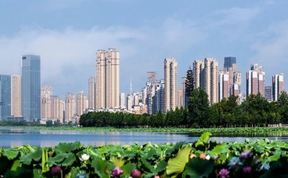 扩围企业完成开户 全国碳市场迈入多行业协同减排新阶段
