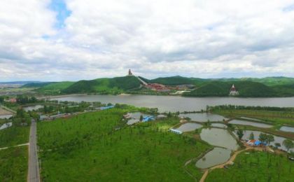 敦化市加强古树保护 守护绿色“活化石”