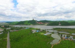 敦化市加强古树保护 守护绿色“活化石”