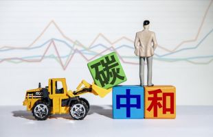 复旦大学可持续发展研究中心：5月全国碳市场交易升温 全球主要碳市场月内价格普遍上涨