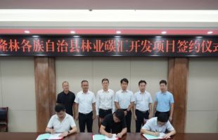 广西百色首个林业碳汇项目签约落地
