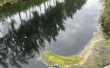 淮安涟水一河流变黑臭，当地镇政府回应