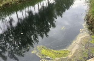 淮安涟水一河流变黑臭，当地镇政府回应