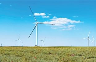 推进绿色创新 共促可持续发展