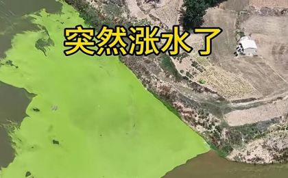 河南南阳涧河部分河段被污染，现场正在抽水清淤，多部门回应