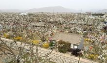 传承“天把式” 精心护古树