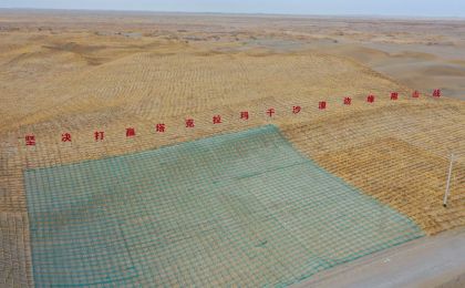 植绿扩边479万亩 新疆为塔克拉玛干沙漠织厚“绿围脖”