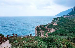广东省首单水土保持碳汇在深圳签发