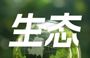 北半球多国遭遇高温天气 全球变暖影响日趋凸显