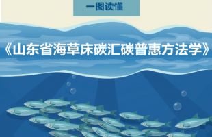 一图读懂丨《山东省海草床碳汇碳普惠方法学》