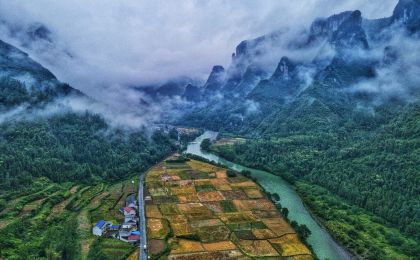 湖南首笔湘林碳票质押项目贷款落地花垣
