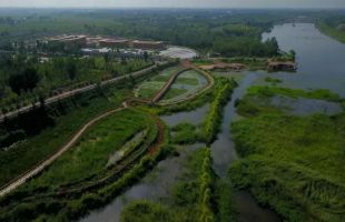 守护湿地生态密码 织就和谐共生画卷